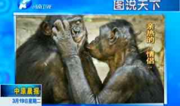 俄罗斯黄色视频