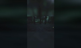 萤火虫视频,捕捉光影之美，探索生活瞬间