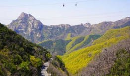 泰山视频,探寻自然奇观与人文历史的壮丽画卷