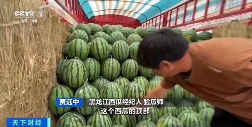 你们在网上吃瓜,揭秘热门事件背后的真相与笑料